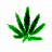 Avatar de K-Navis